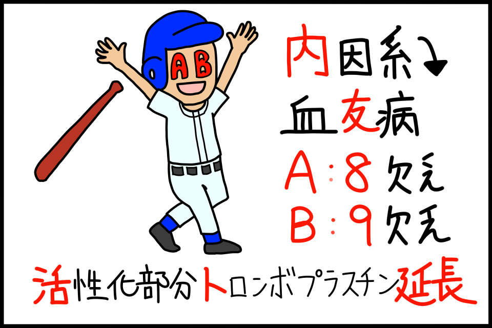 血友病の病態関連キーワードの暗記に役立つゴロイラスト