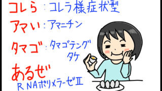 衛生学におけるコレラ様症状型キノコ毒のゴロイラスト