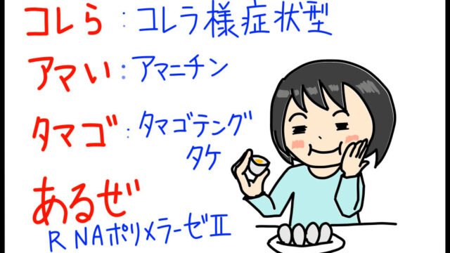 衛生学におけるコレラ様症状型キノコ毒のゴロイラスト