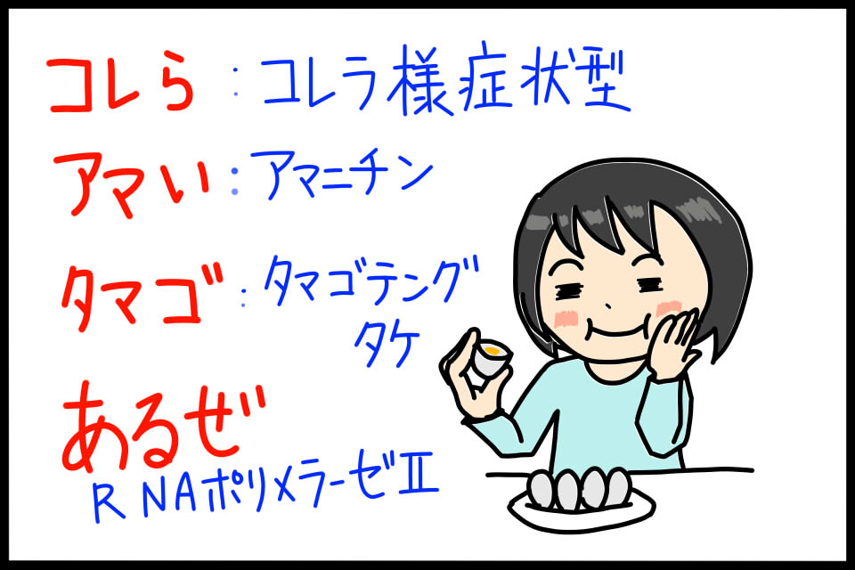 衛生学におけるコレラ様症状型キノコ毒のゴロイラスト