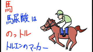 トルエンのバイオマーカーは馬尿酸　ゴロイラスト