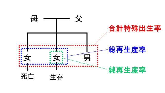 衛生学における各再生産率を暗記するためのイメージ図「