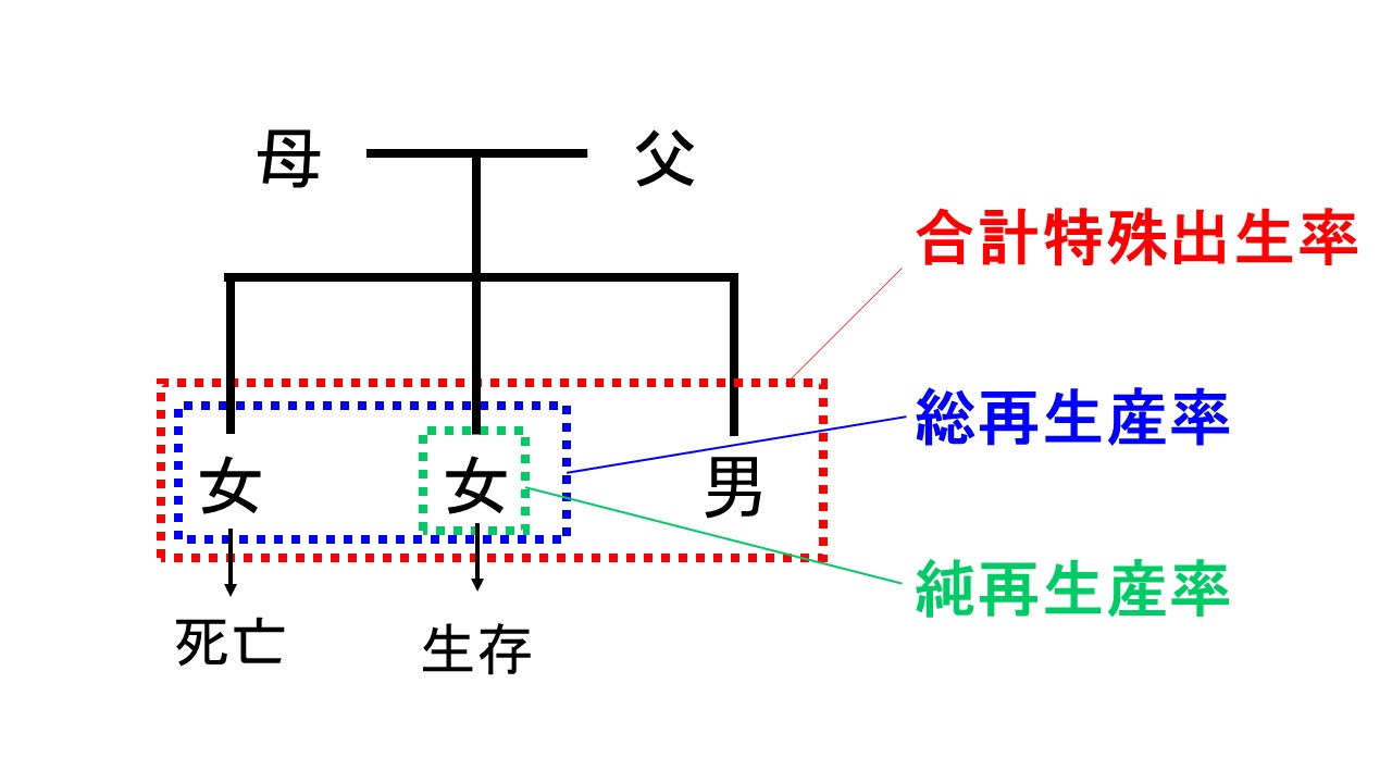 衛生学における各再生産率を暗記するためのイメージ図「