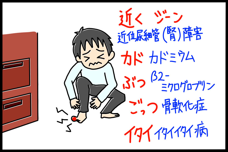 カドミウムの毒性・曝露指標　ゴロイラスト