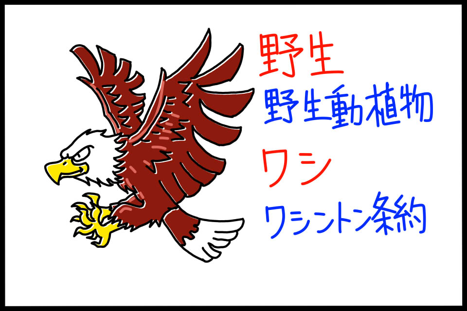 ワシントン条約　ゴロイラスト