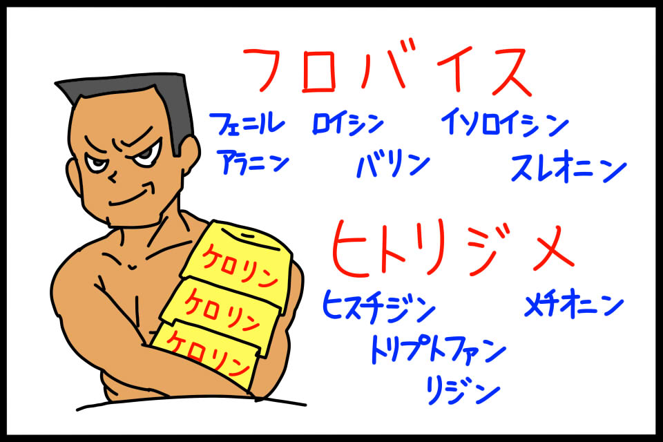 必須アミノ酸を暗記するためのゴロイラスト