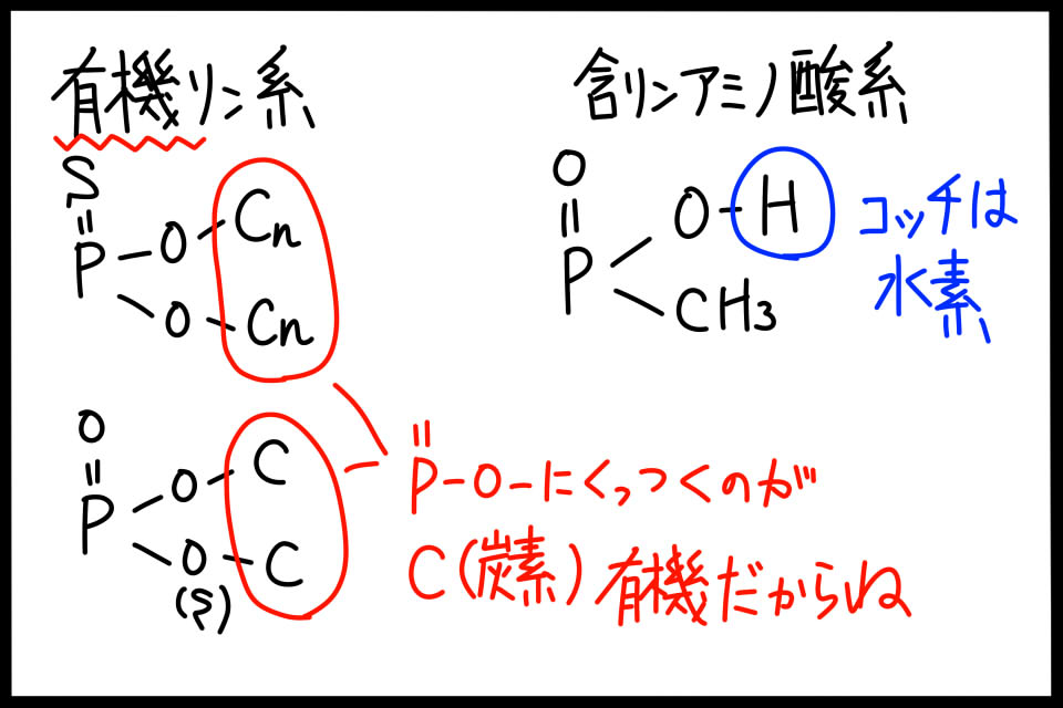 有機リン酸殺虫剤と含リンアミノ酸系除草剤の構造式のちがい