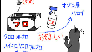 特定フロンの特徴　ゴロイラスト